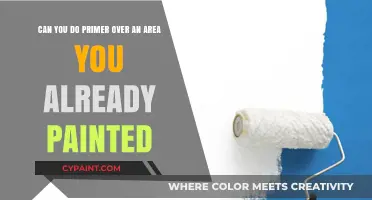Can You Apply Primer Over Previously Painted Surfaces? Expert Tips