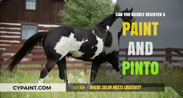 Exploring the Possibilities: Can You Double Register a Paint and Pinto?