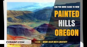 Exploring Painted Hills, Oregon: Up-Close Views by Car