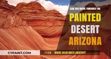 Exploring the Painted Desert: A Road Trip Through Arizona's Colorful Landscape