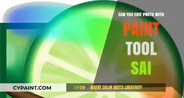 Mastering Photo Editing with Paint Tool SAI: A Comprehensive Guide