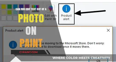 Editing Text from Photos in Paint: A Step-by-Step Guide