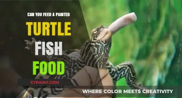 Exploring Diet Options: Can Painted Turtles Thrive on Fish Food?