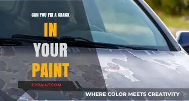 Reviving Your Ride: How to Fix a Crack in Your Car's Paint