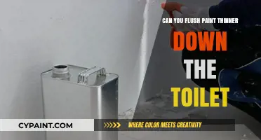 The Do's and Don'ts of Disposing Paint Thinner: Toilet Flushing?