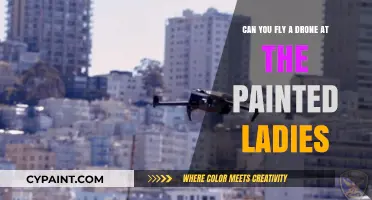 Drone Flying Restrictions at the Painted Ladies