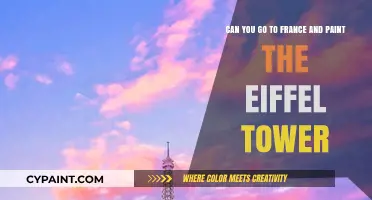 Painting the Eiffel Tower: Legalities and Creative Possibilities in France