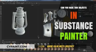 Exploring Substance Painter: The Possibility of Dual Objects