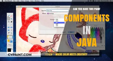 Exploring Java's Flexibility: Multiple Paint Components in a Single App