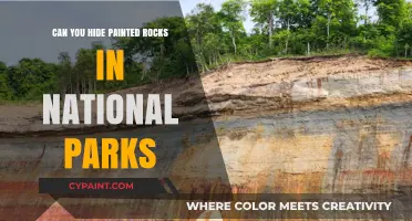 Nature's Canvas: The Art and Ethics of Painted Rocks in National Parks