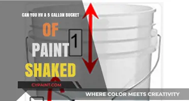 Shaking a 5-Gallon Paint Bucket: Is It Possible or Practical?