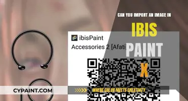 How to Import Images in Ibis Paint X