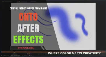 How to Insert Shapes from Paint to After Effects