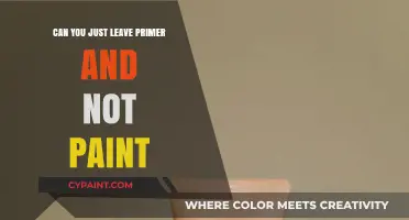 Primer Alone: Exploring the Pros and Cons of Skipping Paint