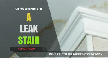 Concealing Water Damage: The Do's and Don'ts of Painting Over Leak Stains