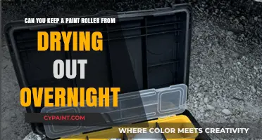 Prevent Paint Roller Dry-Out: Overnight Storage Tips for Reuse