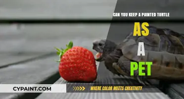 The Painted Turtle: A Great Pet Choice?