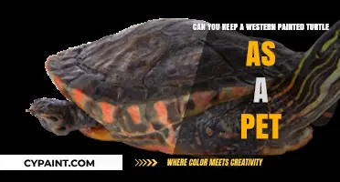 Western Painted Turtles as Pets: Care, Ethics, and Considerations