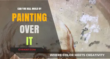Debunking Myths: Does Painting Over Mold Really Kill It?