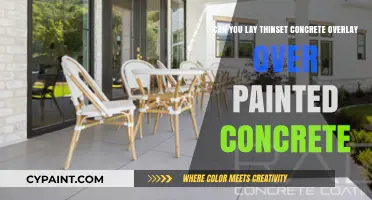 Thinset Concrete Overlay: Paint-Friendly or Not?