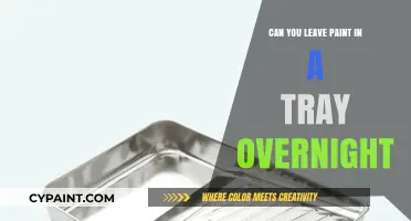 Overnight Paint Tray Storage: Tips and Tricks for Painters
