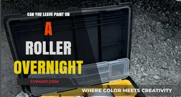 Paint Roller Storage: Tips for Overnight and Long-Term Care