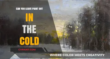 Chilly Hues: The Surprising Truth About Paint in Cold Weather