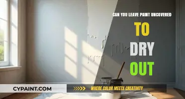 Unveiling the Truth: Can Paint Be Left Uncovered to Dry?