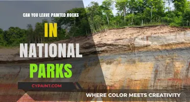 Nature's Canvas: The Debate on Painted Rocks in National Parks