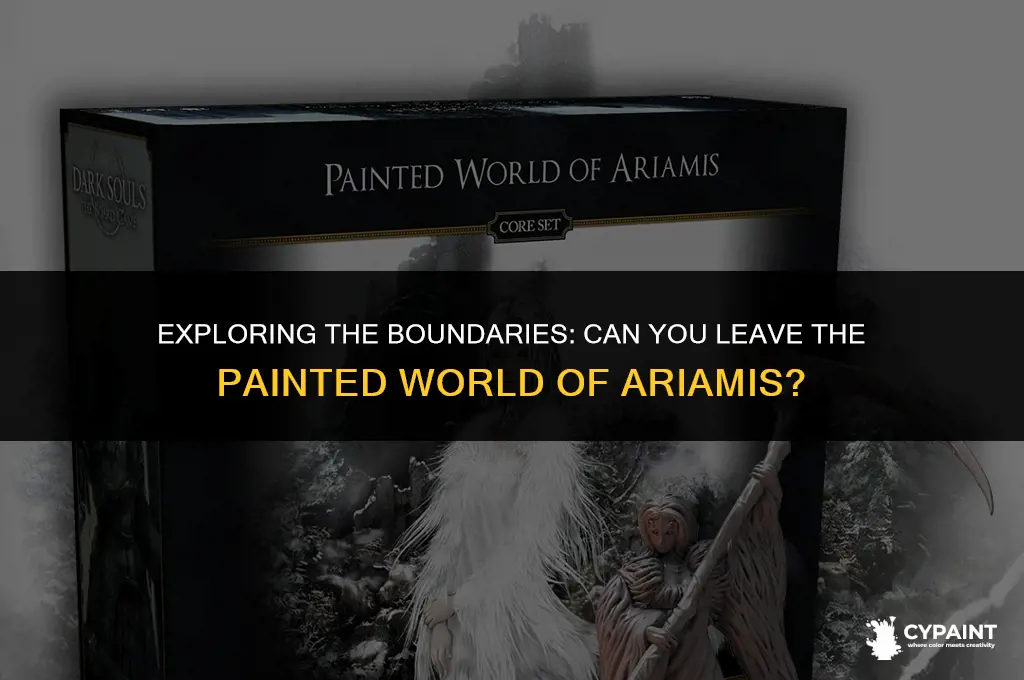 can you leave the painted world of ariamis