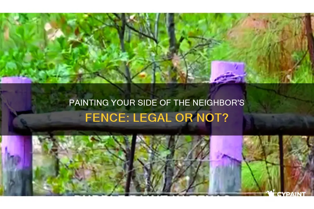 can you legally paint your side of your neighbor