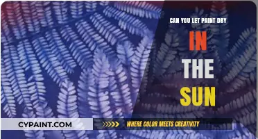 Sun-Drying Paint: Tips and Tricks for a Flawless Finish