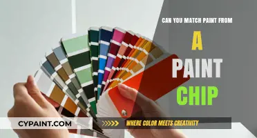 Decoding Paint Chips: A Guide to Perfect Color Matches