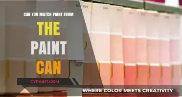 Decoding Paint Colors: A Guide to Matching Paint from the Can