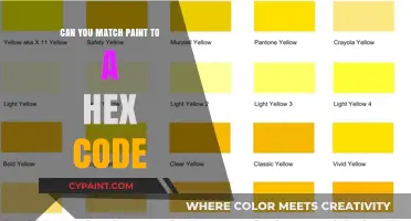 Decoding Colors: The Art of Matching Paint to Hex Codes