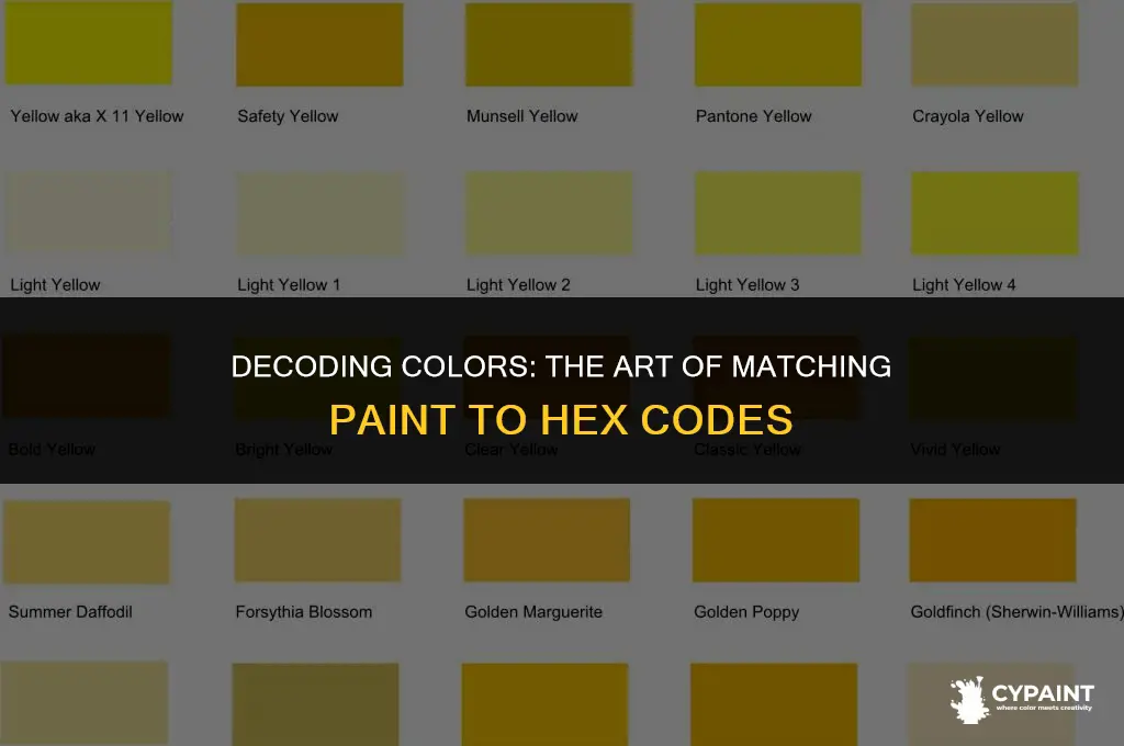 can you match paint to a hex code