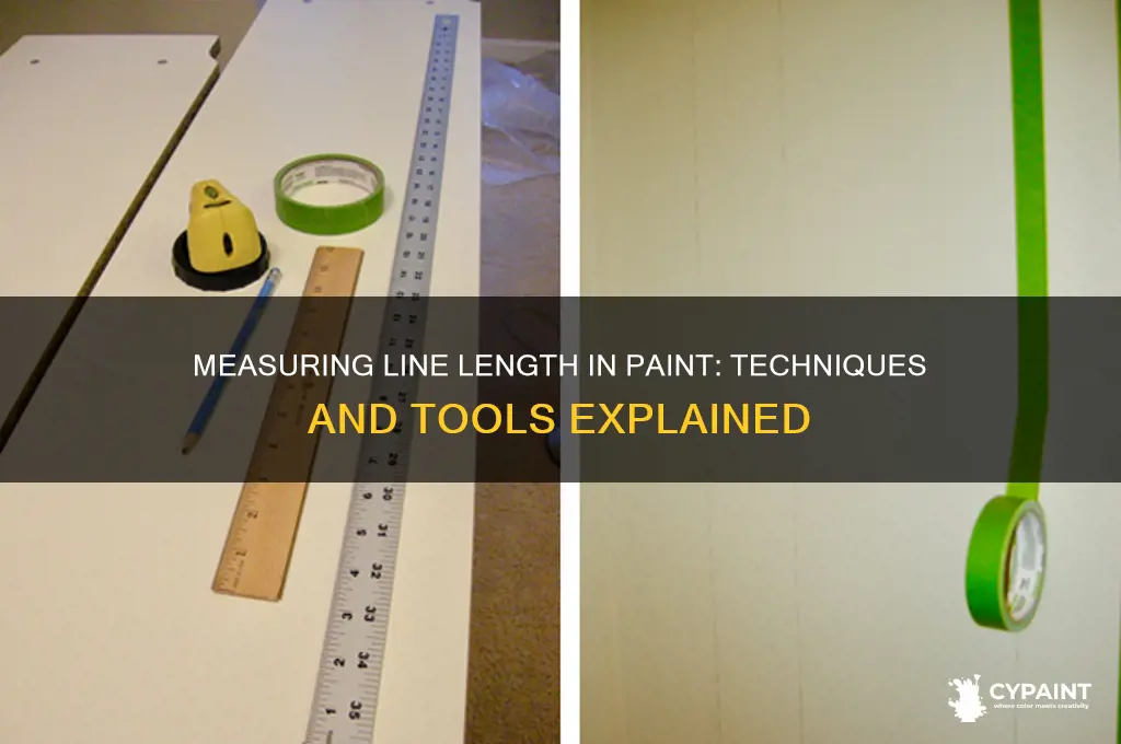 can you measure the length of a line in paint