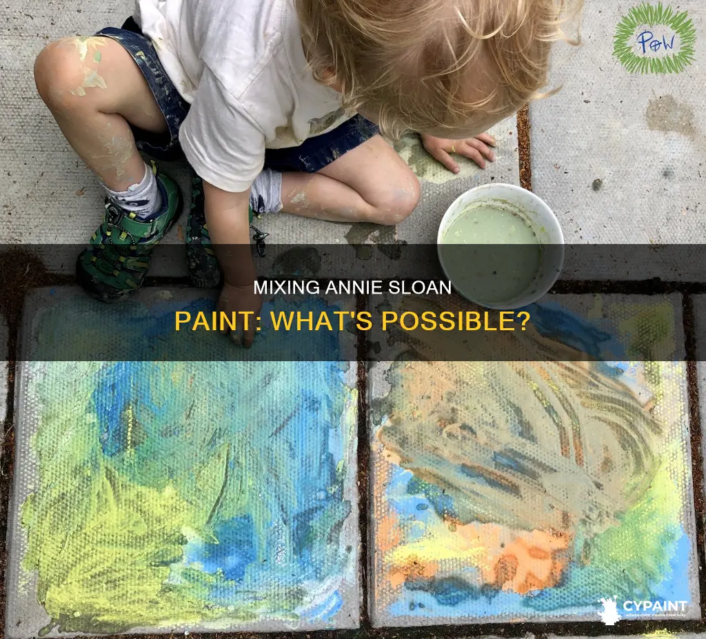 can you mix annie sloan paint with other paint