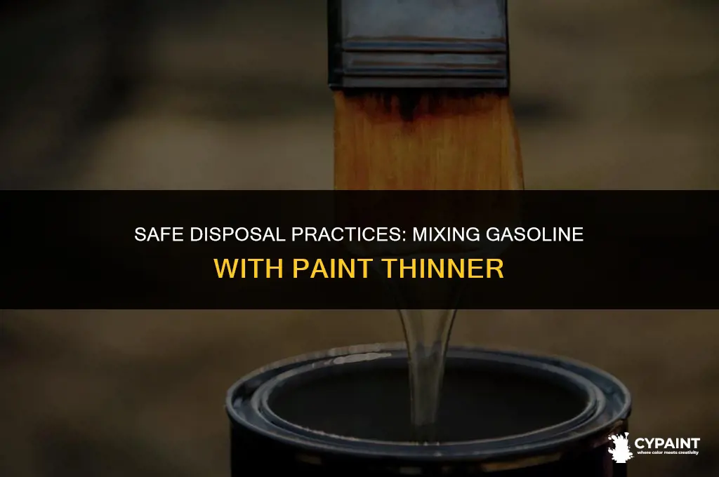 can you mix gasoline with paint thinner disposal