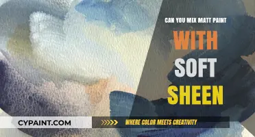 Blending Matt and Soft Sheen Paints: A Guide to Perfect Finishes