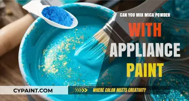 Revamping Your Appliances: The Mica Powder and Paint Mix Guide