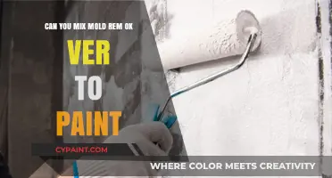 Mixing Mold Remover and Paint: Is It Safe?