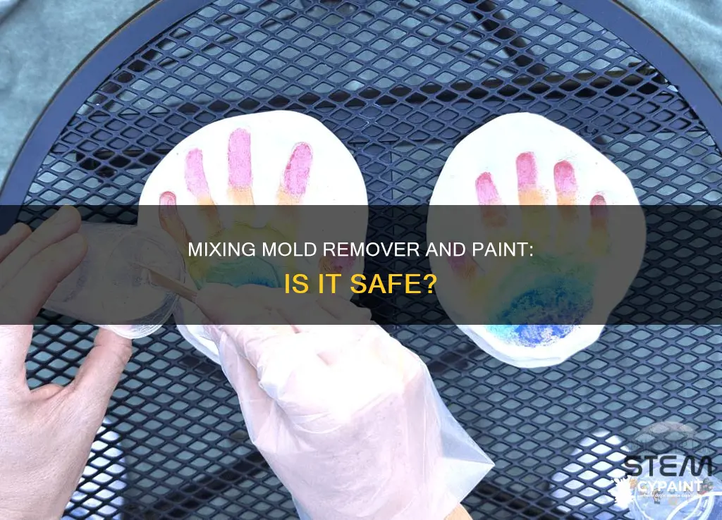 can you mix mold rem ok ver to paint