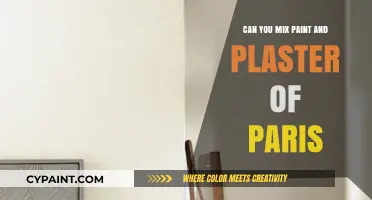Mixing Paint and Plaster of Paris: A Guide to Artistic Techniques