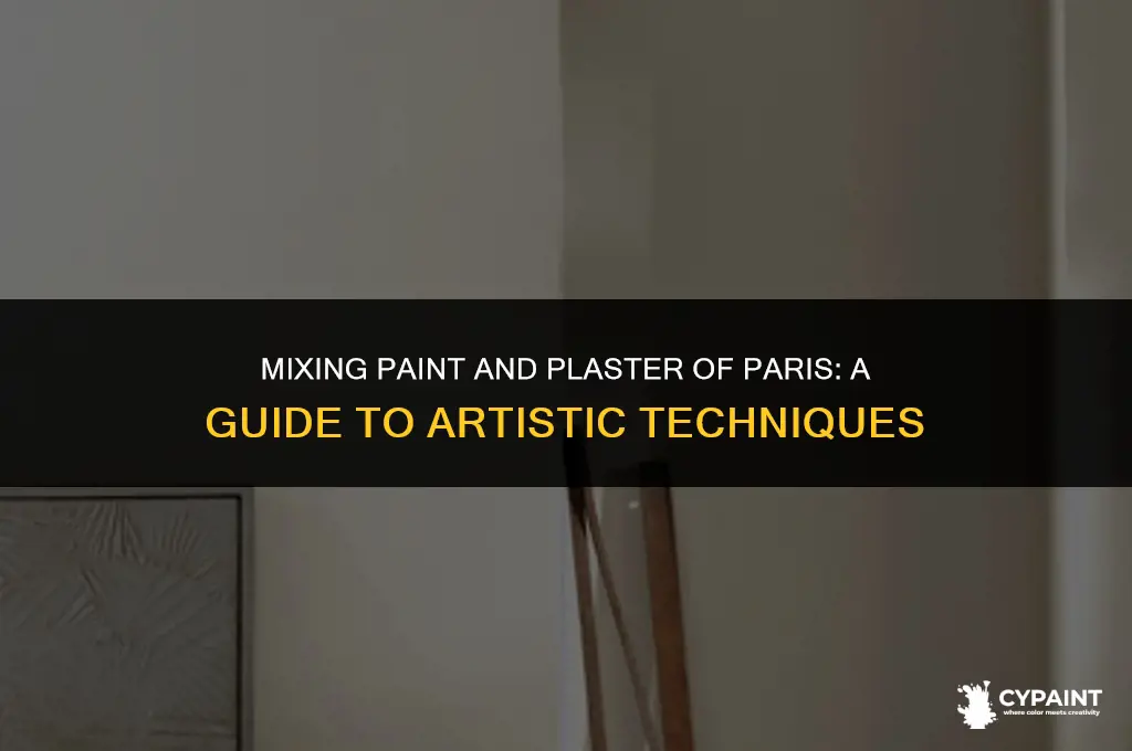 can you mix paint and plaster of paris