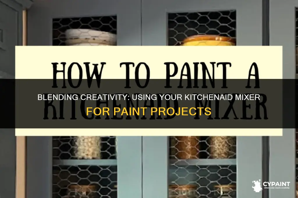 can you mix paint in a kitchenaid mixer