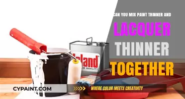 Paint and Lacquer Thinner: Mix or Not?