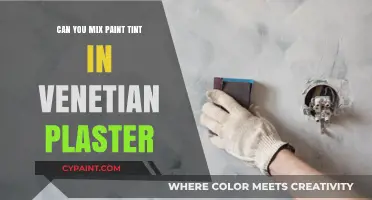 Blending Creativity: The Art of Mixing Paint Tint in Venetian Plaster