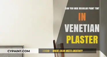 Mixing Paint Tint with Venetian Plaster: A Creative Solution