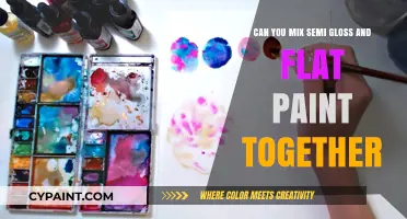 Combining Gloss and Flat Paint: A Smart Mix?